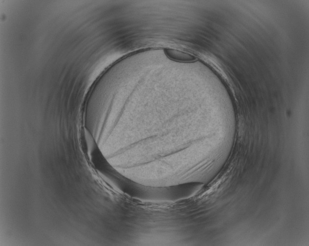 X0000087311048200705180941