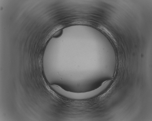 X0000087311049200705180941