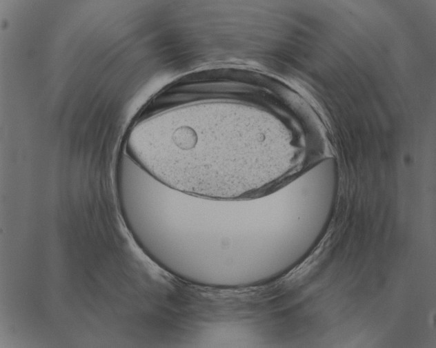 X0000087311054200705180941