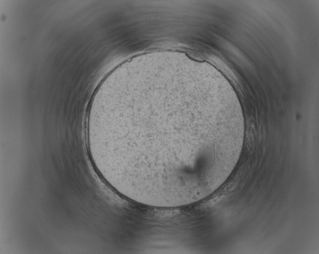 X0000087311055200705180941