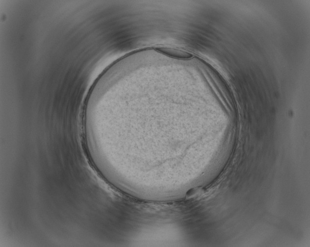 X0000087311056200705180941