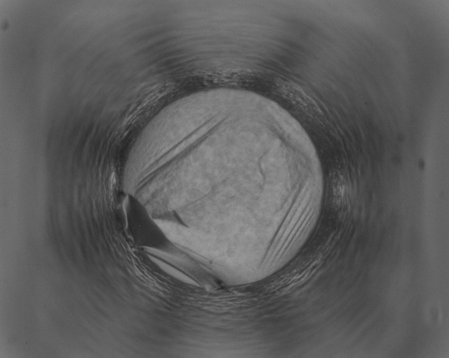 X0000087311060200705180940