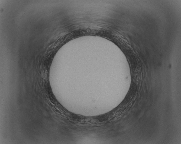 X0000087311061200705180940