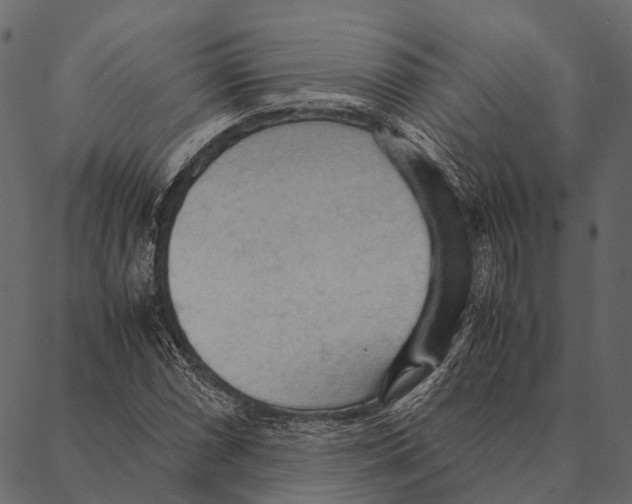 X0000087311066200705180940