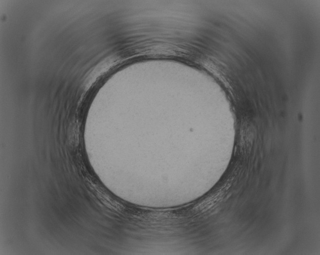 X0000087311067200705180940