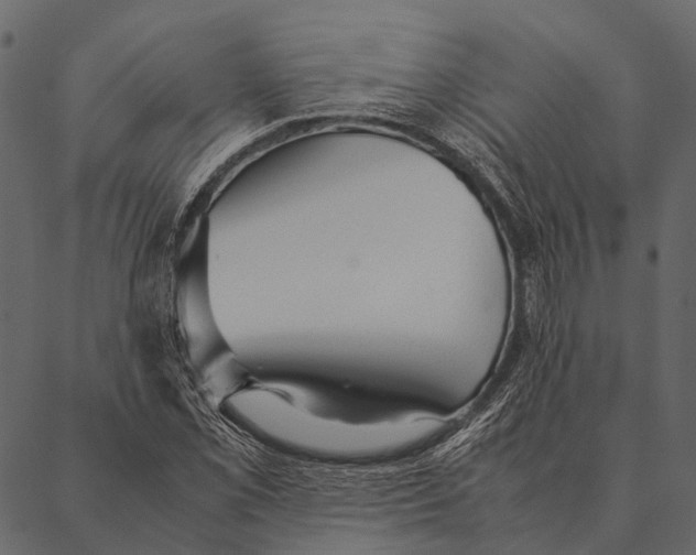 X0000087311069200705180940