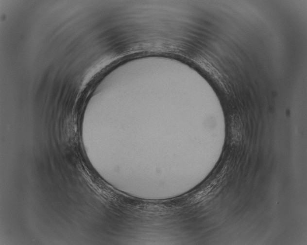 X0000087311070200705180940