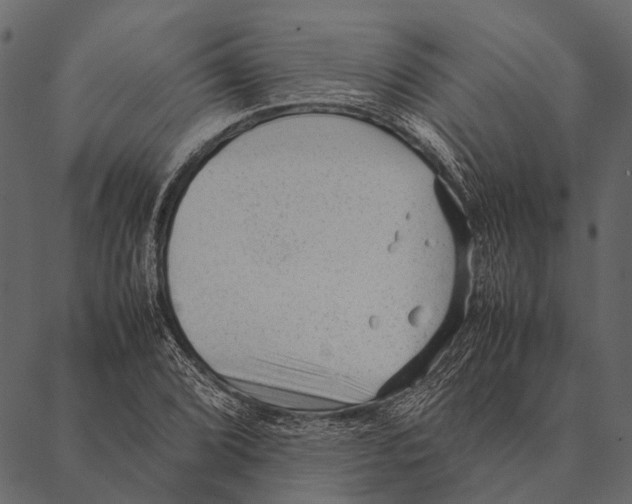 X0000087311072200705180940