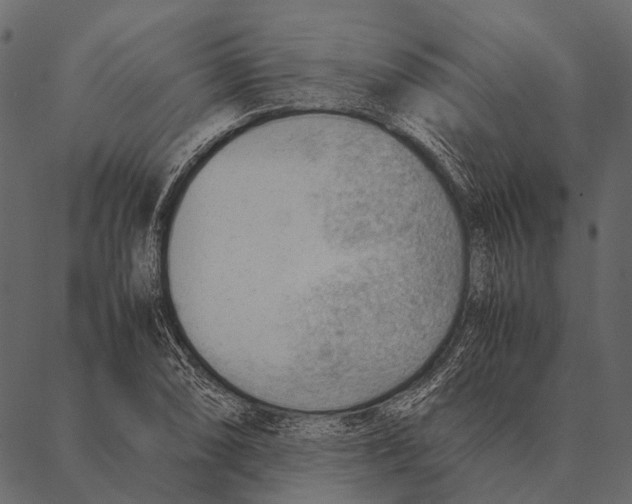 X0000087311074200705180940