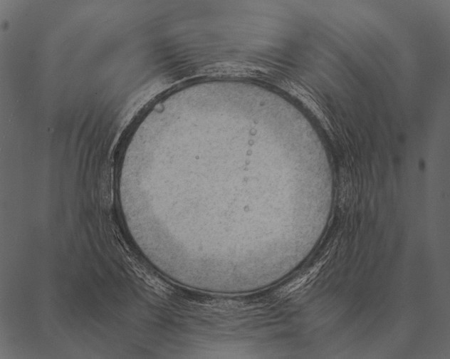 X0000087311075200705180940