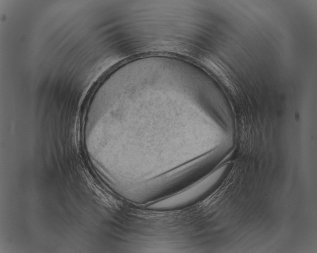 X0000087311076200705180940