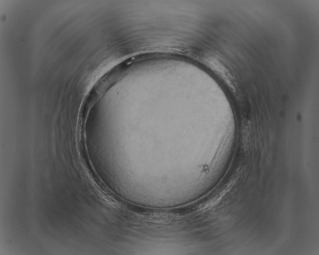 X0000087311077200705180940