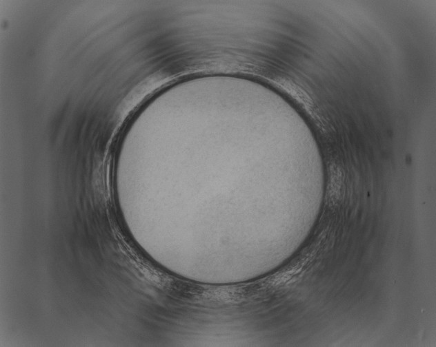 X0000087311078200705180940