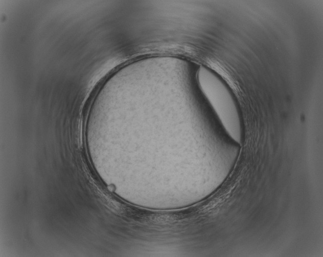 X0000087311079200705180940