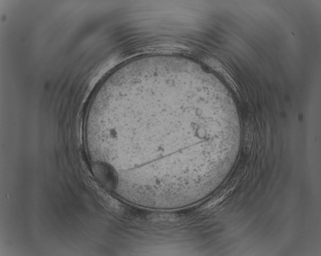 X0000087311083200705180940