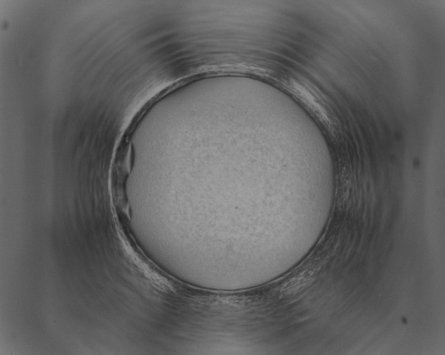 X0000087311084200705180940