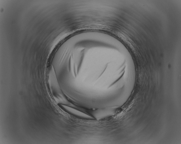 X0000087311085200705180940