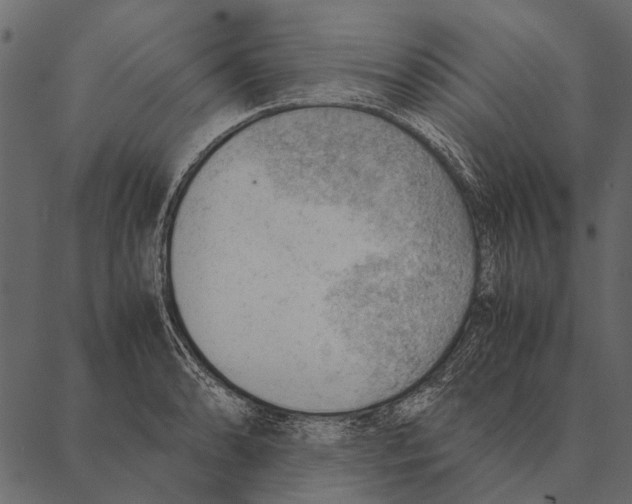 X0000087311086200705180940