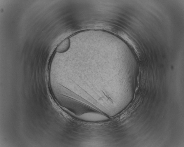 X0000087311088200705180940