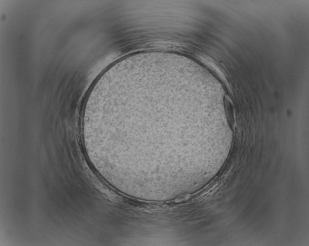 X0000087311091200705180940