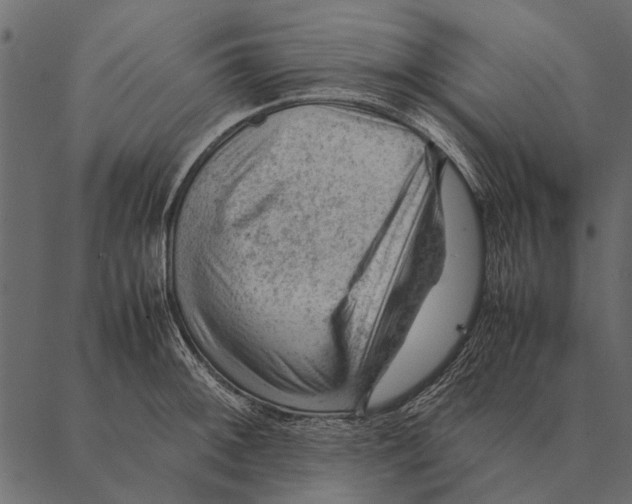 X0000087311092200705180940