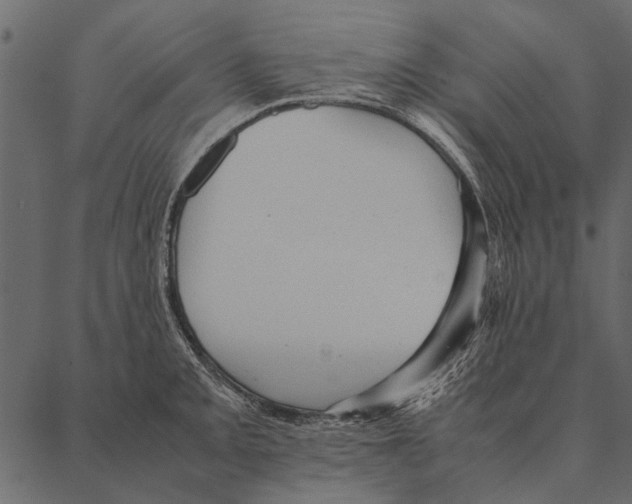 X0000087311093200705180940