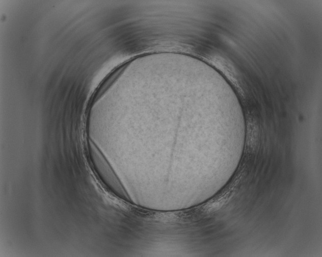 X0000087311094200705180940