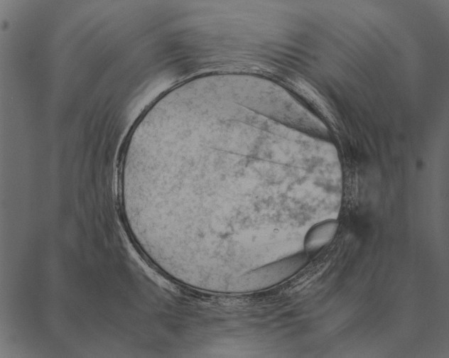 X0000087311095200705180940