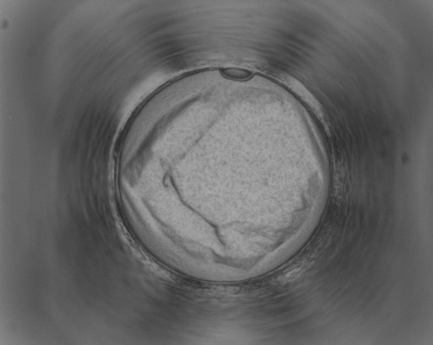 X0000087311096200705180940