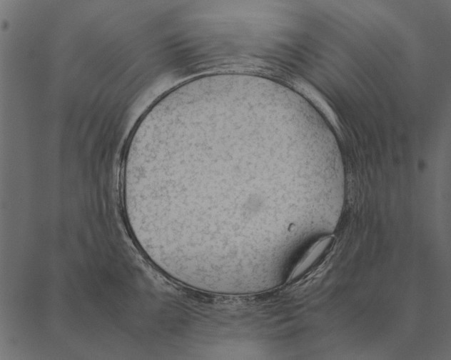 X0000087311099200705180940