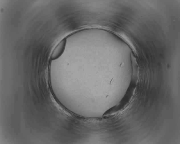 X0000087311100200705180940