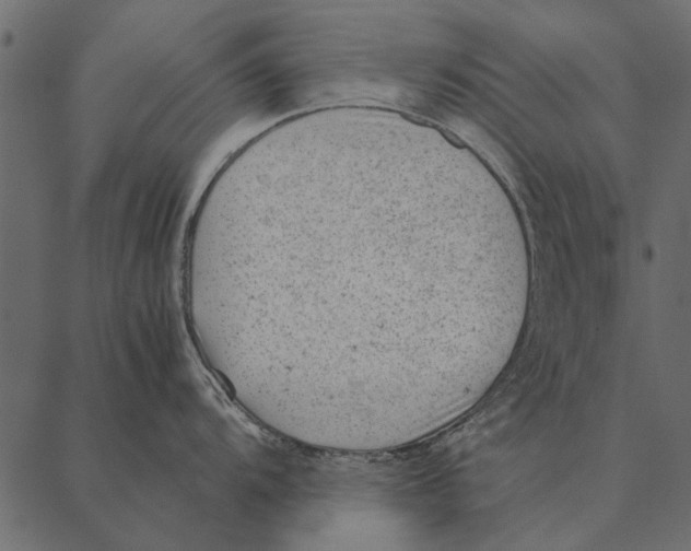 X0000087311104200705180939