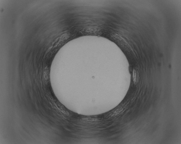 X0000087311107200705180939