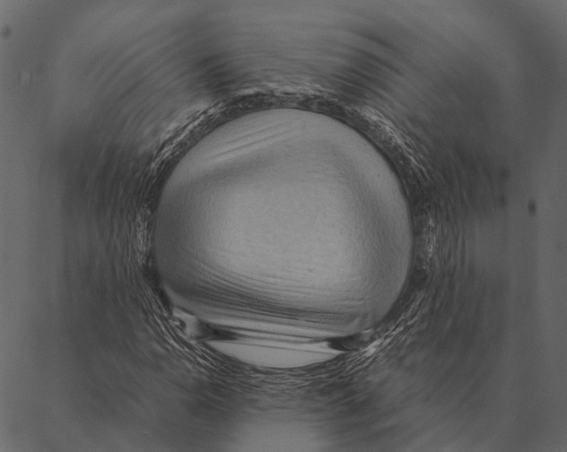 X0000087311110200705180939