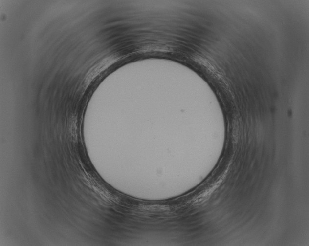 X0000087311113200705180939