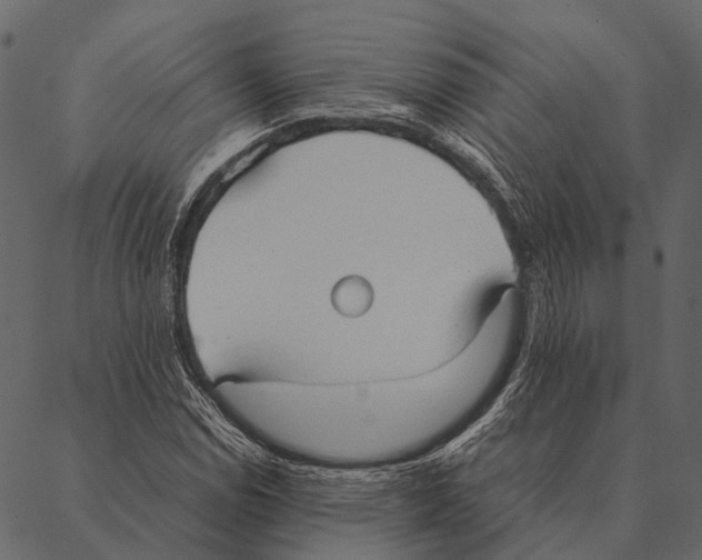 X0000087311114200705180939