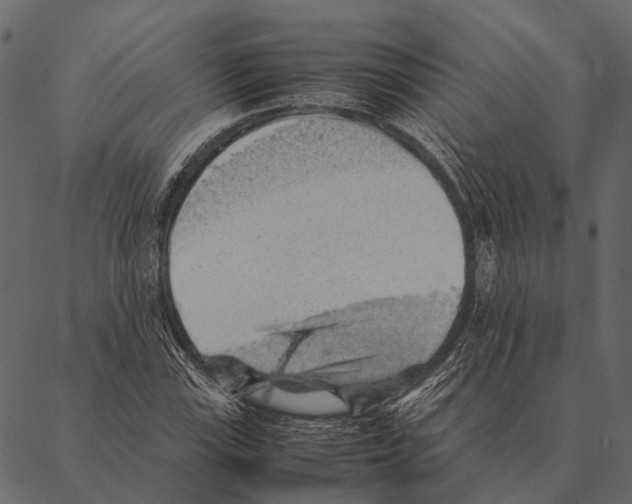 X0000087311115200705180939