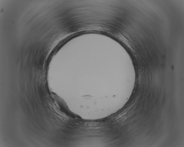 X0000087311116200705180939