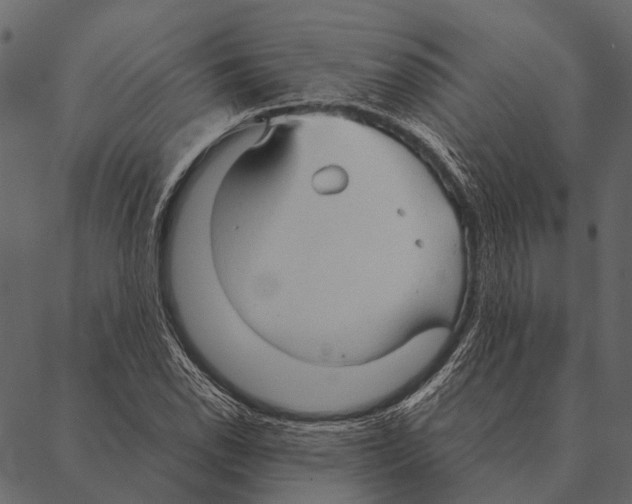 X0000087311118200705180939