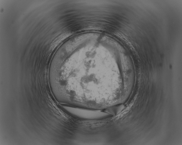 X0000087311121200705180939