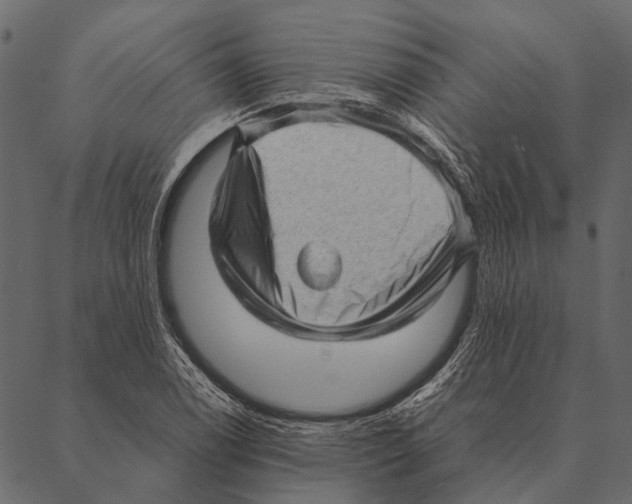 X0000087311122200705180939