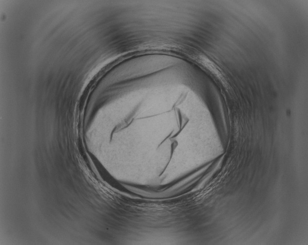 X0000087311124200705180939