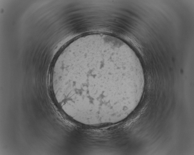 X0000087311125200705180939