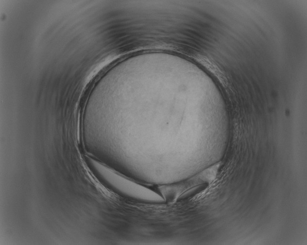 X0000087311127200705180939