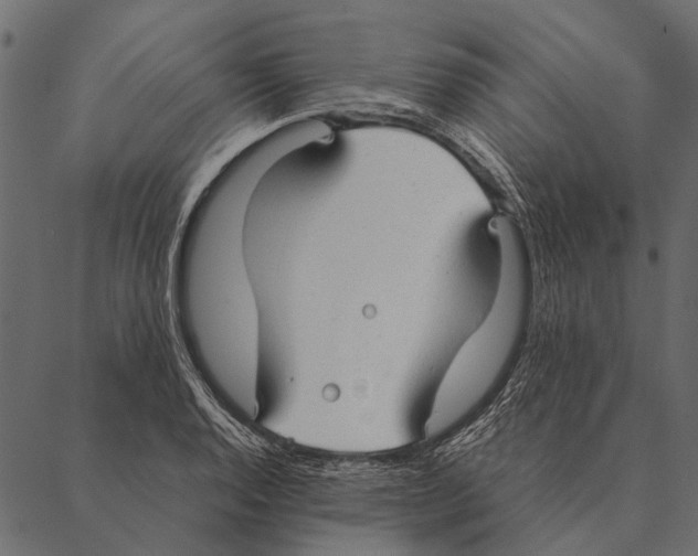 X0000087311128200705180939