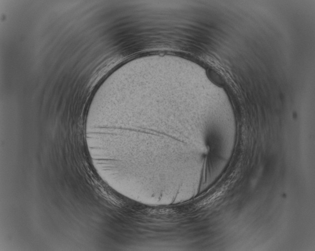 X0000087311129200705180939