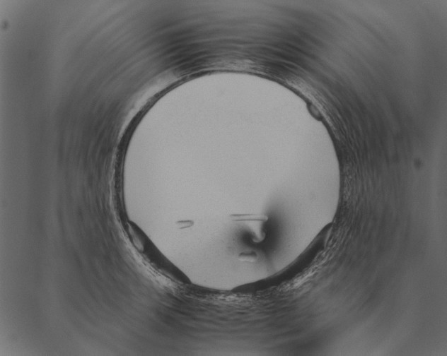 X0000087311139200705180939