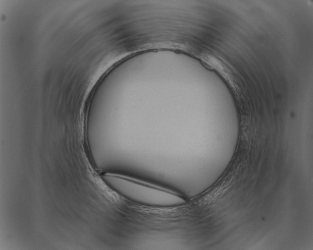 X0000087311140200705180939