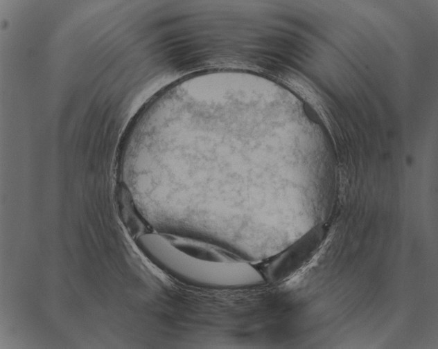 X0000087311141200705180939