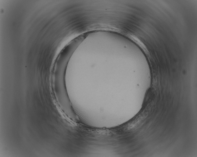 X0000087311144200705180939